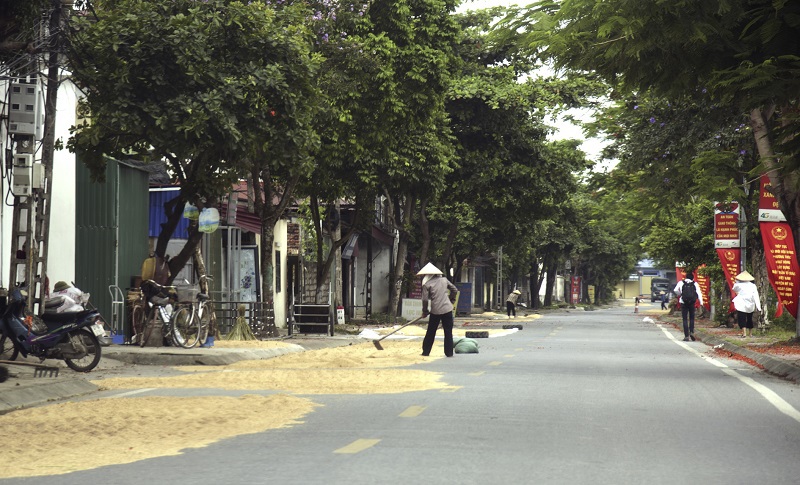 Hà Nội: Phơi thóc trên đường gây mất an toàn giao thông - Ảnh 4