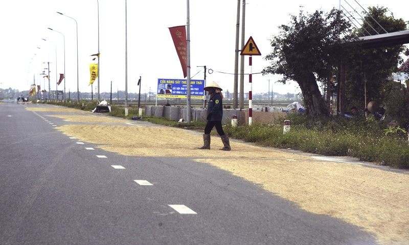 Hà Nội: Phơi thóc trên đường gây mất an toàn giao thông - Ảnh 6