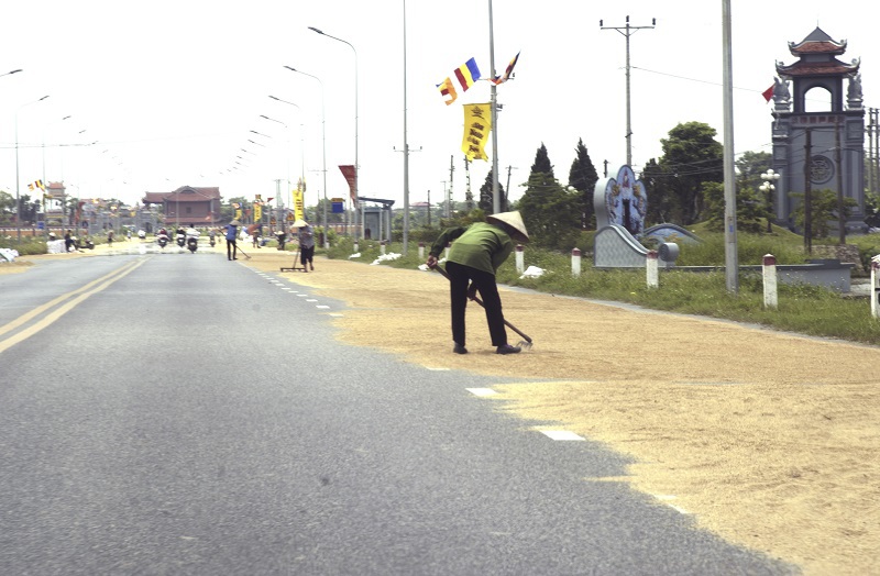Hà Nội: Phơi thóc trên đường gây mất an toàn giao thông - Ảnh 7
