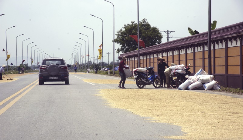Hà Nội: Phơi thóc trên đường gây mất an toàn giao thông - Ảnh 9
