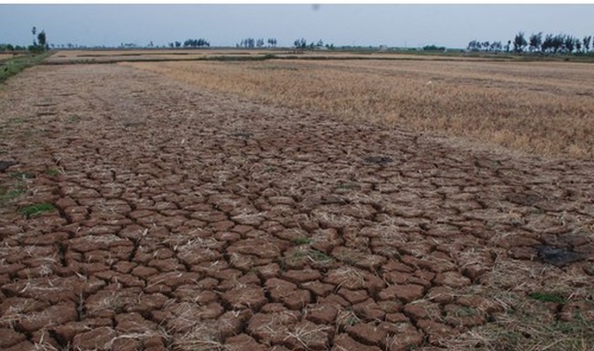 Mùa khô sẽ còn kéo dài tại Ninh Thuận tới tháng 9/2018 - Ảnh 1