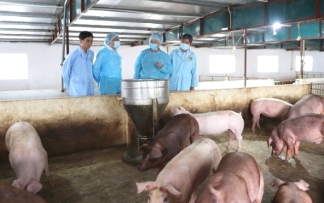 Hà Nội sẽ kiểm tra toàn diện công tác phòng, chống dịch bệnh động vật vào tháng 3/2020 - Ảnh 1