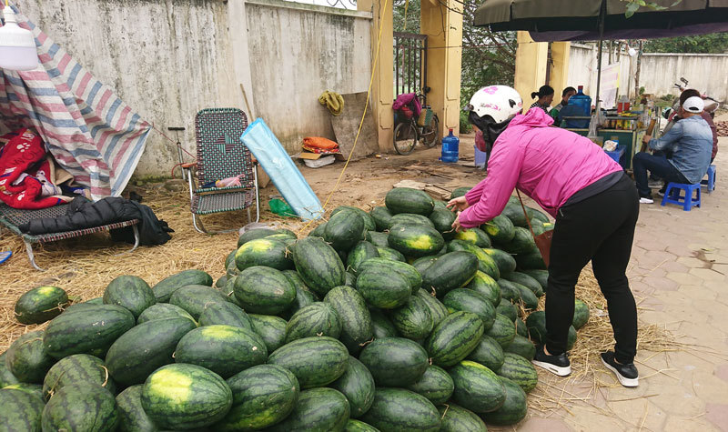Ngập tràn những sản phẩm nông sản giải cứu tại Hà Nội - Ảnh 15