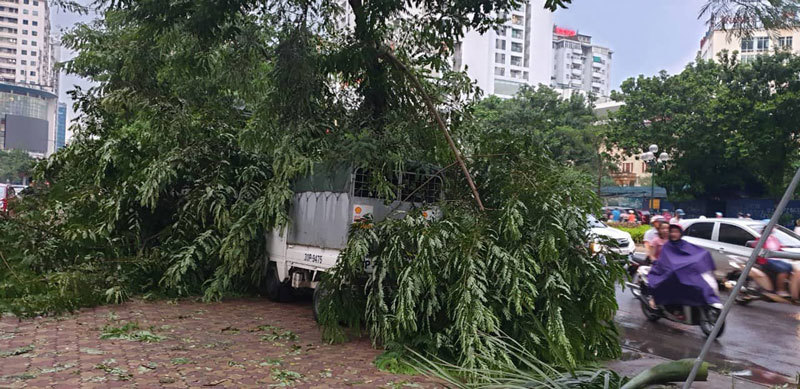 [Ảnh] Hà Nội: Mưa gió khủng khiếp, cây đổ hàng loạt khiến 1 người thiệt mạng - Ảnh 8