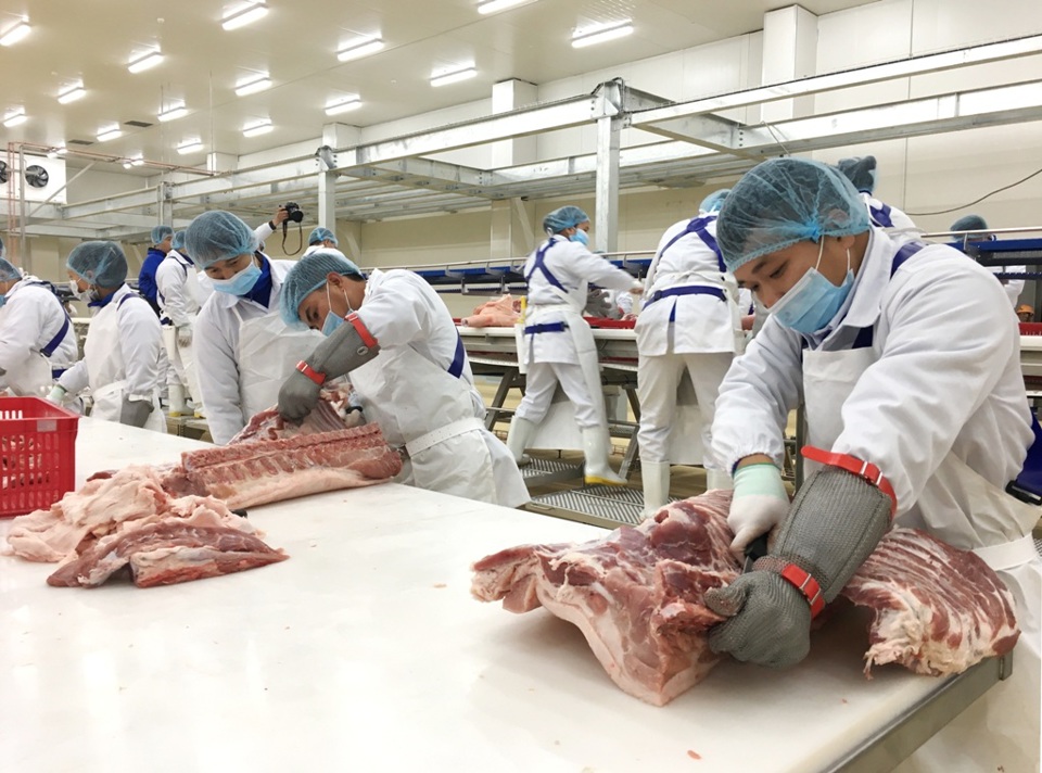 Khám phá công nghệ sản xuất thịt mát tiêu chuẩn châu Âu đầu tiên tại Việt Nam - Ảnh 6