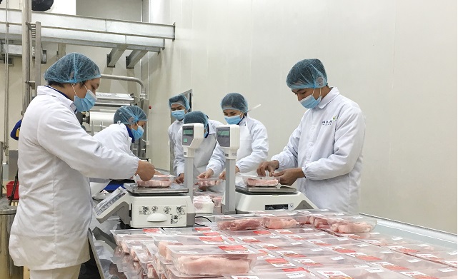 Khánh thành tổ hợp chế biến thịt tiêu chuẩn châu Âu đầu tiên tại Việt Nam - Ảnh 6