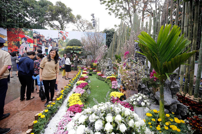 Hình ảnh người dân đến vườn hoa Lý Thái Tổ chiêm ngưỡng hoa anh đào - Ảnh 20