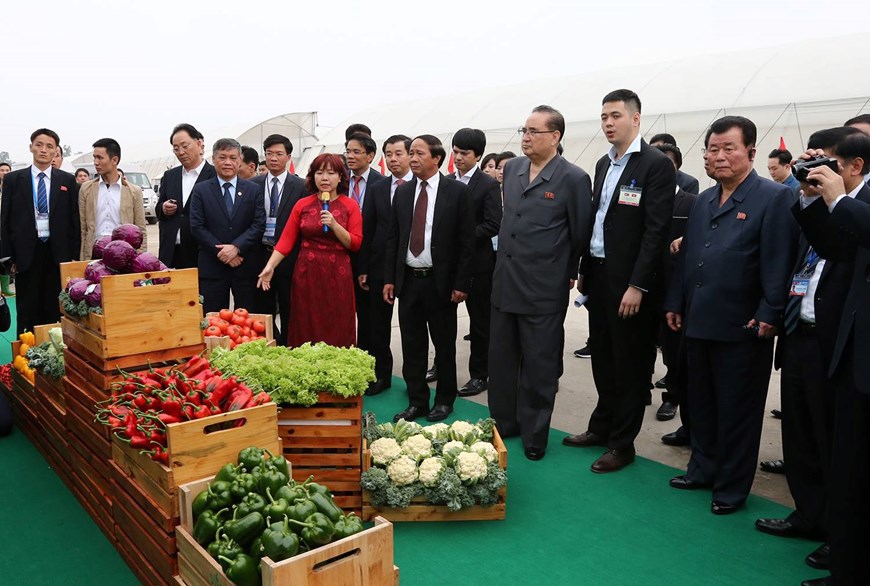[Photo] Lãnh đạo cấp cao Triều Tiên thăm Công ty VinEco - Ảnh 8