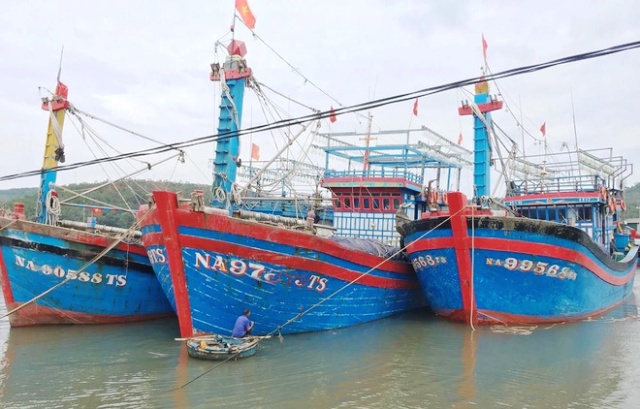 Gửi công điện đề nghị các quốc gia hỗ trợ ngư dân Việt Nam trú tránh bão Phanfone - Ảnh 1