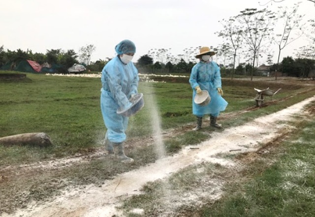 Hà Nội xuất hiện thêm 1 ổ dịch cúm gia cầm tại huyện Mê Linh - Ảnh 1