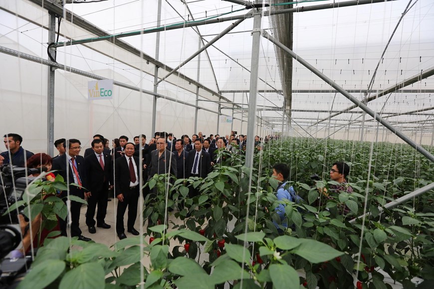 [Photo] Lãnh đạo cấp cao Triều Tiên thăm Công ty VinEco - Ảnh 4