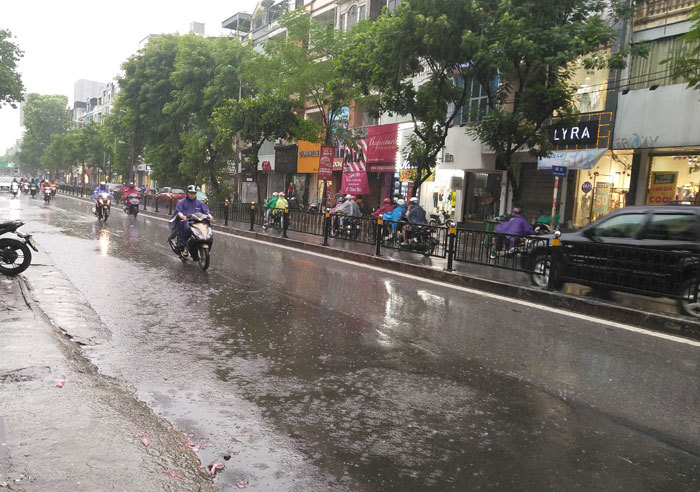 Hà Nội: Mưa sầm sập, gió quật mạnh, cây đổ, một số tuyến phố ngập sâu - Ảnh 6