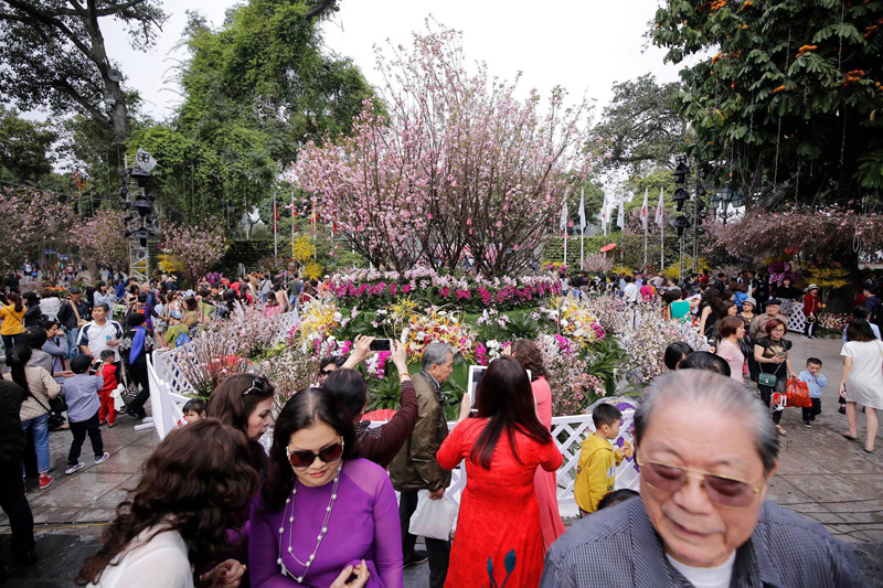 Hình ảnh người dân đến vườn hoa Lý Thái Tổ chiêm ngưỡng hoa anh đào - Ảnh 14