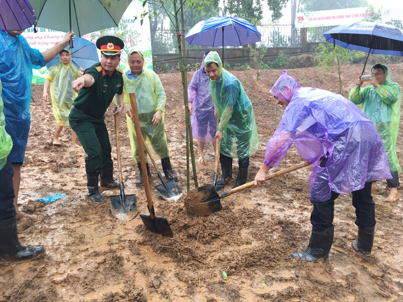 Tuổi trẻ Thủ đô “đội mưa” trồng 600 cây xanh tại Khu di tích K9 - Ảnh 1