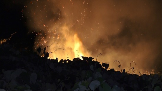 Hàng trăm người nỗ lực dập tắt đám cháy lớn ở Sơn Trà - Ảnh 1