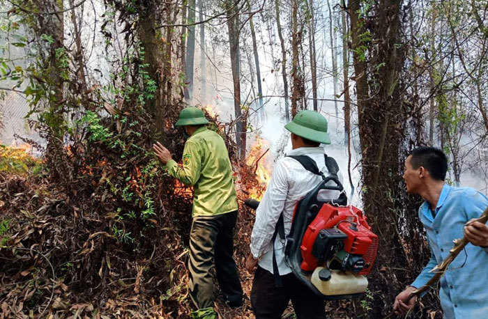 Hà Tĩnh: Rừng thông tại Hương Sơn lại bốc cháy dữ dội - Ảnh 1