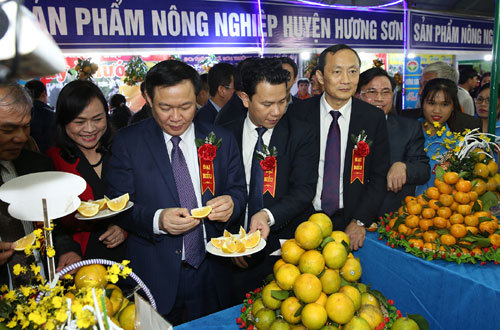 Phó Thủ tướng Vương Đình Huệ dự Lễ hội quảng bá cam Hà Tĩnh - Ảnh 1