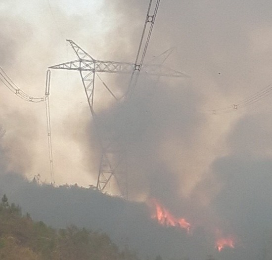Đường dây 500 kV bị ảnh hưởng do cháy rừng, EVN báo cáo Thủ tướng - Ảnh 1