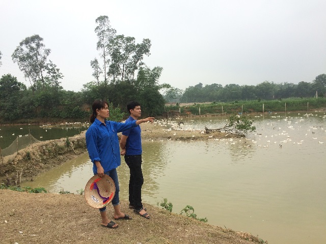 Thanh niên huyện Ba Vì: Sôi nổi phong trào khởi nghiệp - Ảnh 1