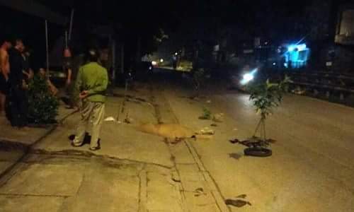 Hà Nội: Phát hiện 2 thanh niên thương vong cạnh xe máy giữa đêm khuya - Ảnh 1
