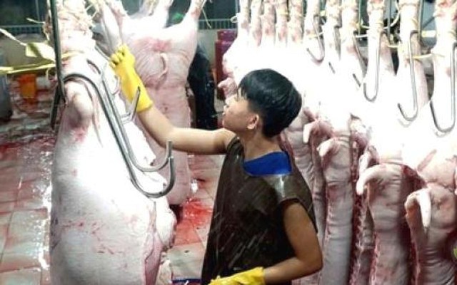 Hà Nội: Hàng trăm tấn thịt tiêu thụ mỗi ngày chưa được kiểm soát - Ảnh 1