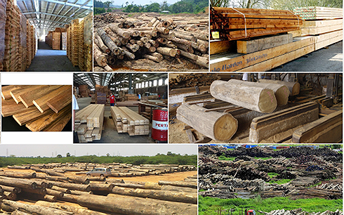 Xuất khẩu gỗ “sáng” nếu đảm bảo nguồn cung “sạch“ - Ảnh 1
