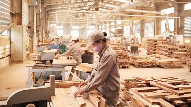 Có tín hiệu gian lận thương mại trong ngành gỗ tại Việt Nam - Ảnh 1