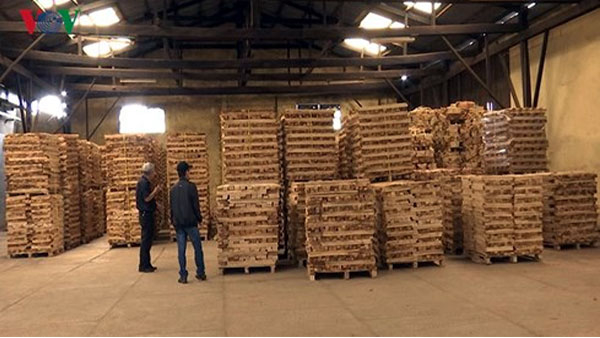 Doanh nghiệp gỗ “tỉnh táo” khi đầu tư FDI từ Trung Quốc gia tăng - Ảnh 1