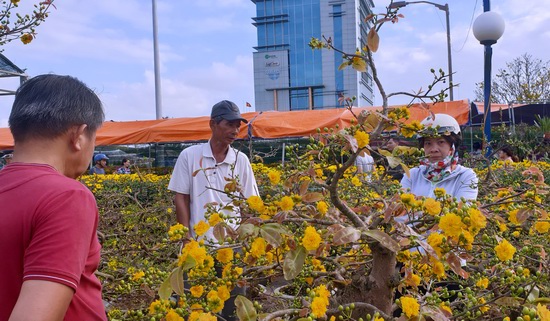 [Ảnh] Rực rỡ sắc màu chợ hoa Tết Đà Nẵng - Ảnh 6