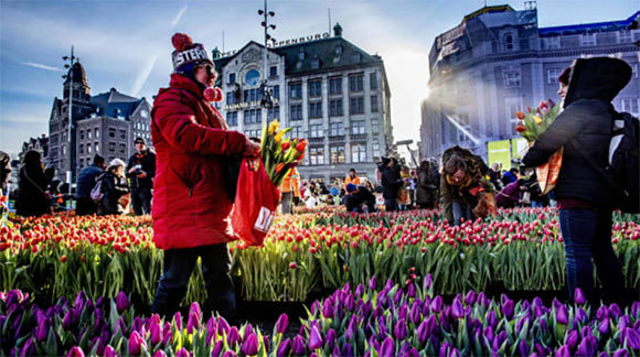 Thủ đô Amsterdam tìm cách "đuổi" khách du lịch - Ảnh 3