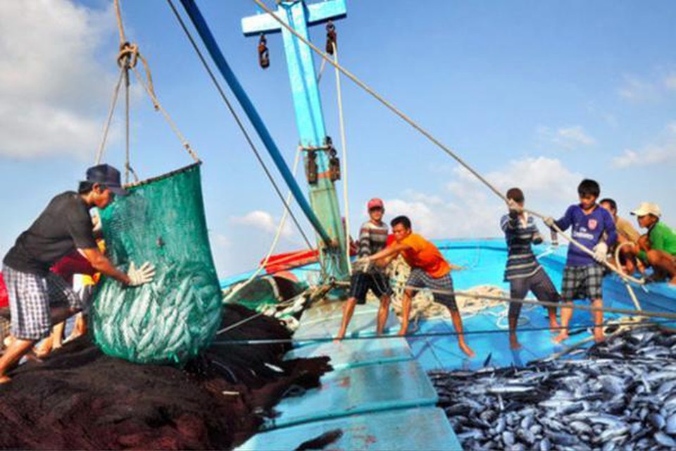 Quy chế hoạt động của BCĐ quốc gia về chống khai thác hải sản bất hợp pháp - Ảnh 1