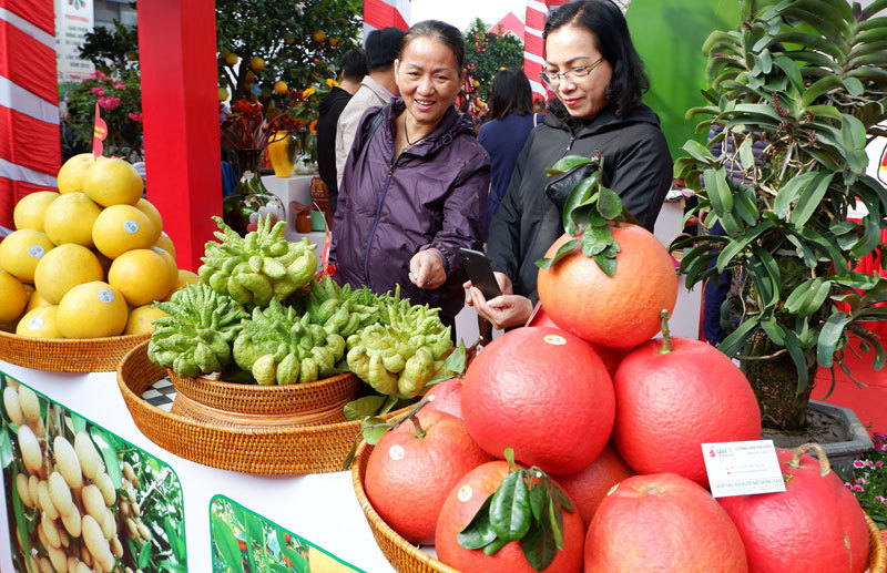 Festival Sản phẩm nông nghiệp và làng nghề Hà Nội: Kết nối, thúc đẩy nông nghiệp sản xuất hàng hóa - Ảnh 2