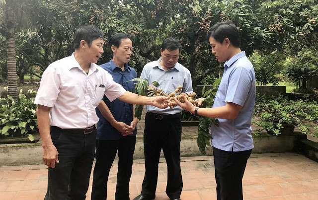 Hà Nội mở rộng hợp tác quốc tế: Thêm cơ hội xuất khẩu nông sản - Ảnh 1