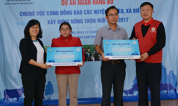 Cô gái Hà Lan trao tặng 80 con bò cho nông dân nghèo tỉnh Lâm Đồng - Ảnh 1