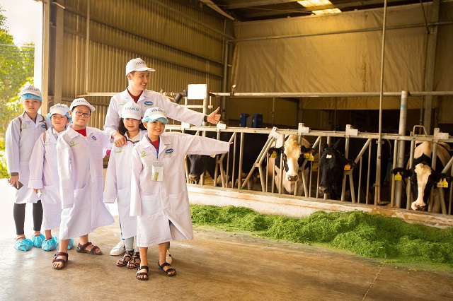 Tận mắt thấy những cô bò ở "Resort" góp công vào ly sữa học đường - Ảnh 3