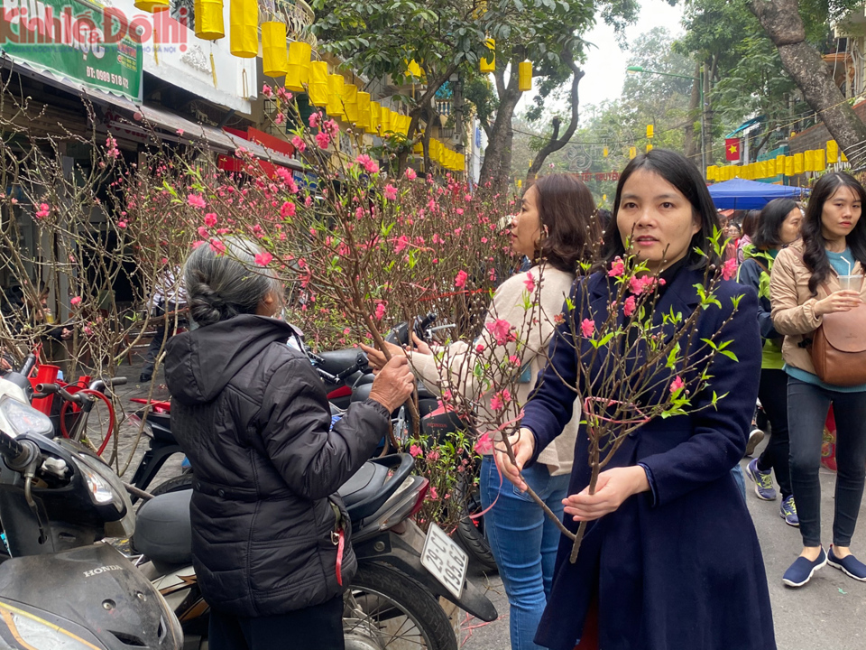 [Ảnh] Chợ hoa lâu năm ở Hà Nội tấp nập những ngày cận Tết Nguyên đán 2020 - Ảnh 2