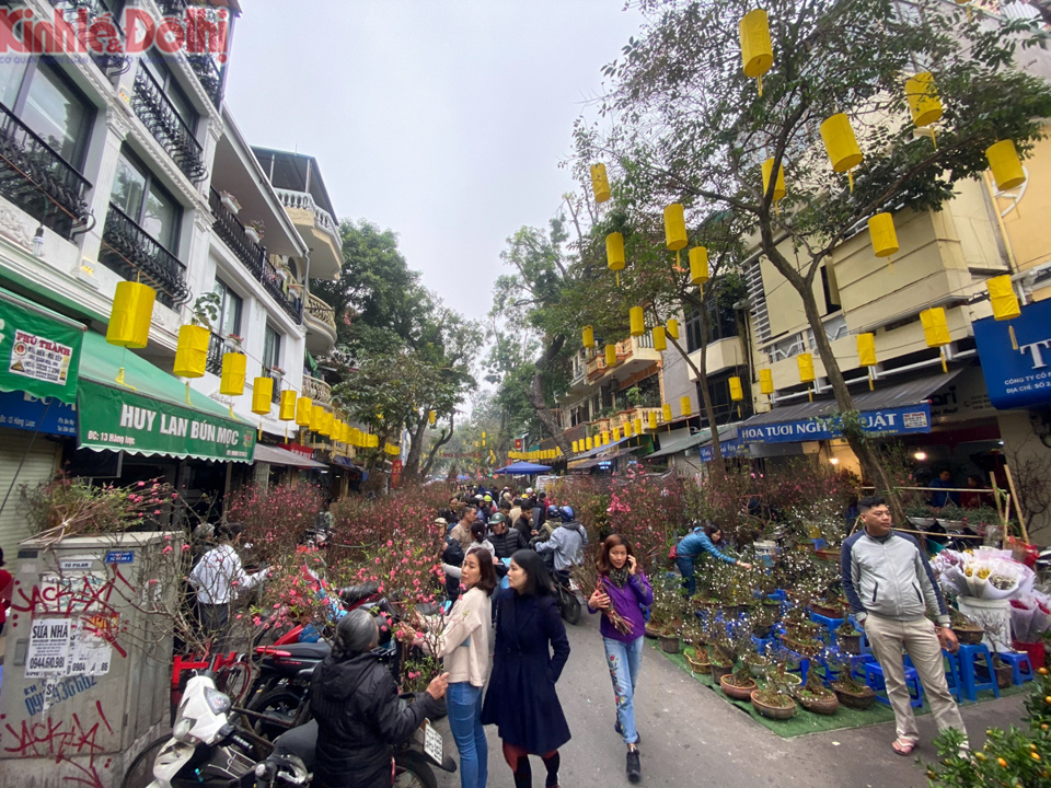 [Ảnh] Chợ hoa lâu năm ở Hà Nội tấp nập những ngày cận Tết Nguyên đán 2020 - Ảnh 9