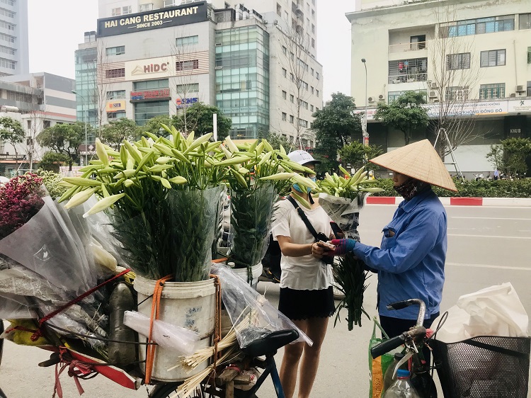 Hà Nội: Hoa loa kèn vào vụ thu hoạch, dân phấn khởi vì được mùa - Ảnh 8