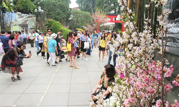 Lễ hội hoa anh đào Nhật Bản - Hà Nội 2019 kéo dài thêm 1 ngày - Ảnh 3