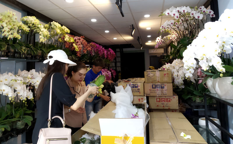 TP Hồ Chí Minh: Thị trường hoa tươi dịp 8/3 tăng gấp 5 lần so với ngày thường - Ảnh 1