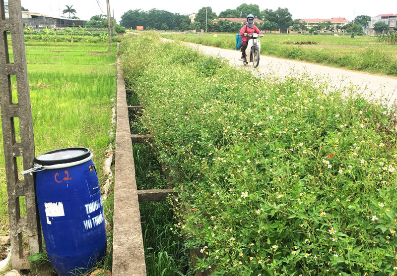 Huyện Phúc Thọ: Thúc đẩy sản xuất nông nghiệp sạch - Ảnh 1