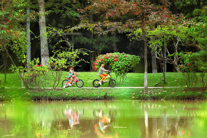 Ecopark trở thành Khu đô thị tốt nhất Việt Nam - Ảnh 11