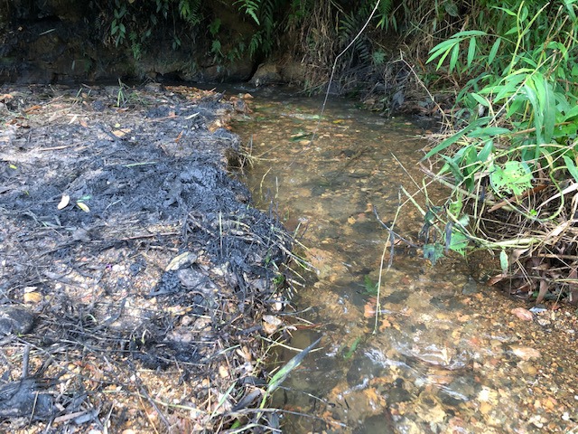 Cận cảnh dòng suối nhiễm dầu gây ô nhiễm nước ở Hà Nội - Ảnh 2