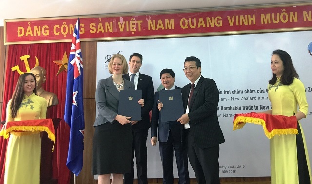 Việt Nam là nước đầu tiên xuất khẩu chôm chôm sang New Zealand - Ảnh 1