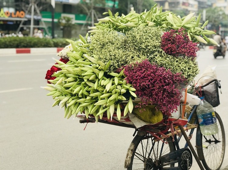 Hà Nội: Hoa loa kèn vào vụ thu hoạch, dân phấn khởi vì được mùa - Ảnh 9