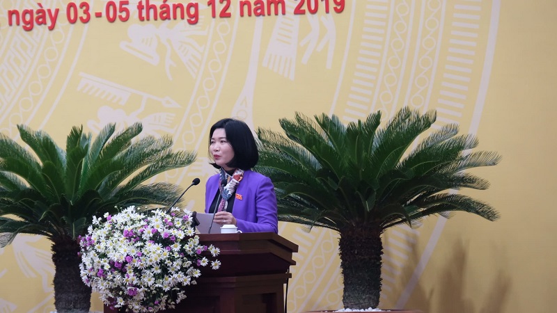 HĐND thành phố Hà Nội thông qua 22 chỉ tiêu phát triển kinh tế - xã hội năm 2020 - Ảnh 1