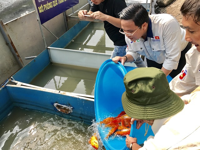 [Ảnh] Hà Nội: Thả cá Koi Nhật Bản xuống nơi thí điểm tại sông Tô Lịch và Hồ Tây - Ảnh 4