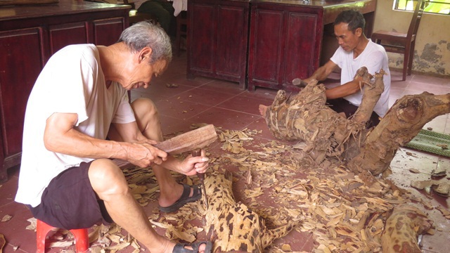 Ly kỳ và phức tạp vụ cây sưa trăm tỷ: Cuộc đấu giá không thành và số phận hai cây sưa - Ảnh 4