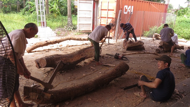 Ly kỳ và phức tạp vụ cây sưa trăm tỷ: Cuộc đấu giá không thành và số phận hai cây sưa - Ảnh 6