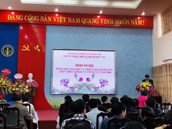 Hà Nội: Hơn 200 doanh nghiệp ký hợp đồng tiêu thụ rau an toàn - Ảnh 1